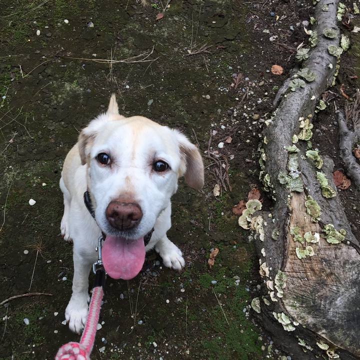 Aad4421a b8c6 493d 9a9d 43632ef76cbe