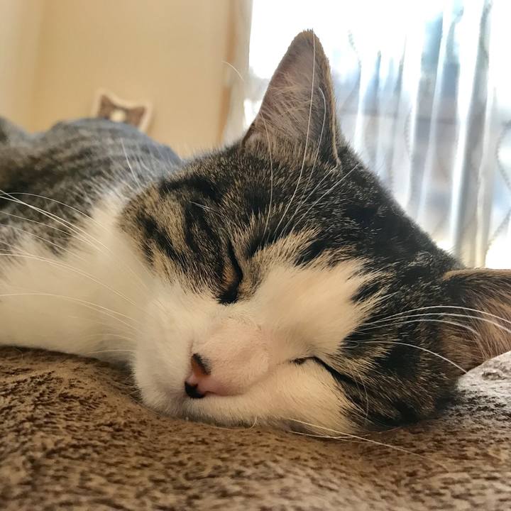 Aad4d7b0 1a18 4a1a b5a7 093096fe1c50