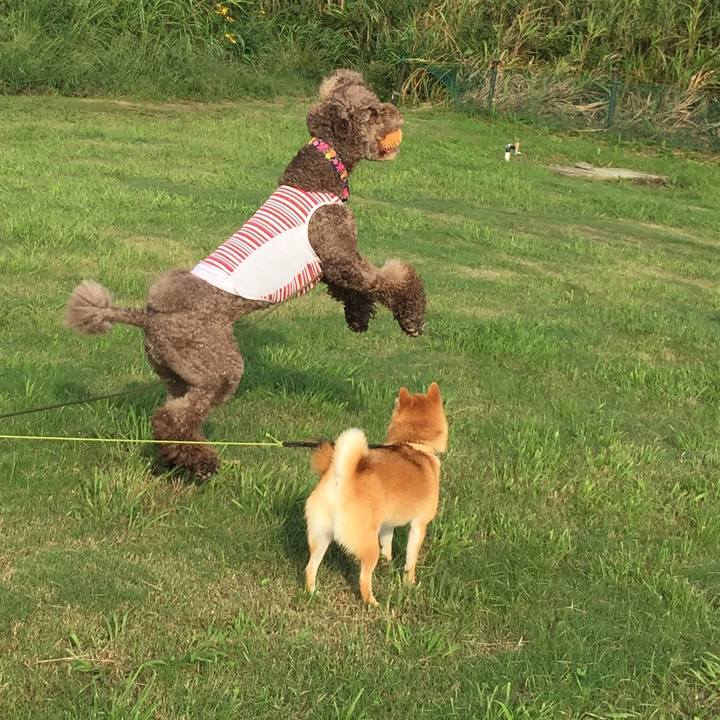 Aad511a6 65e1 465e 9c61 e4667ba1f858