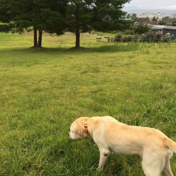 Aad51d16 7e8d 43f6 9882 1e99773e0eda