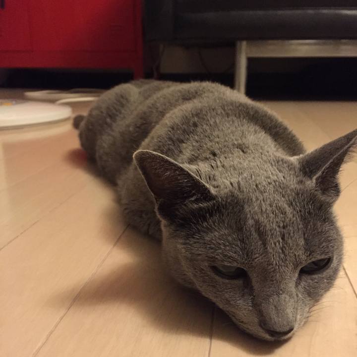 Aad5c86c 2bae 4669 a247 458dfbd05fbc