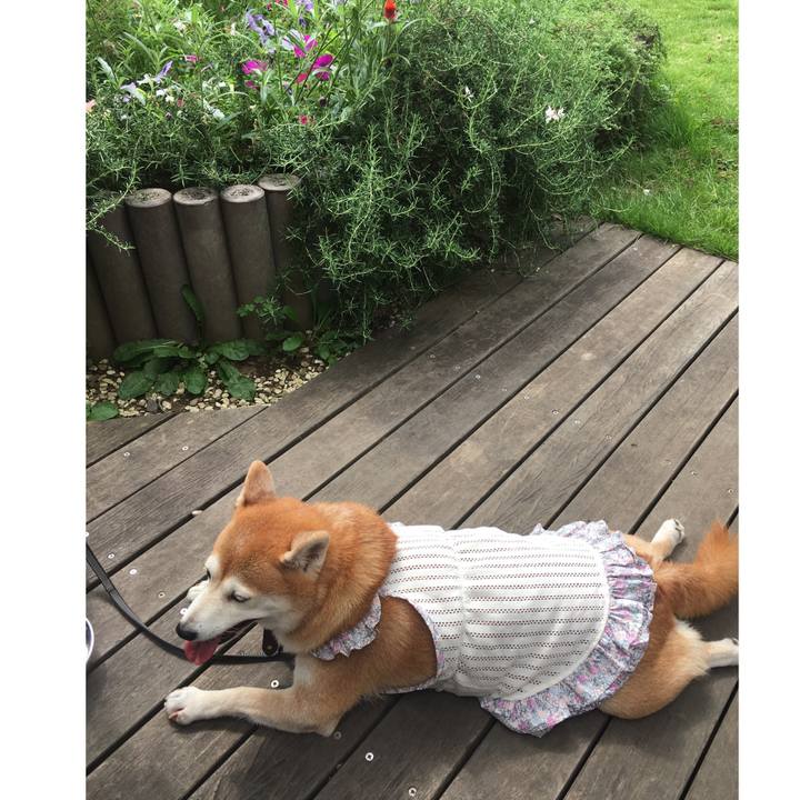 Aad6163a b966 49ab b85b e350b9a67345