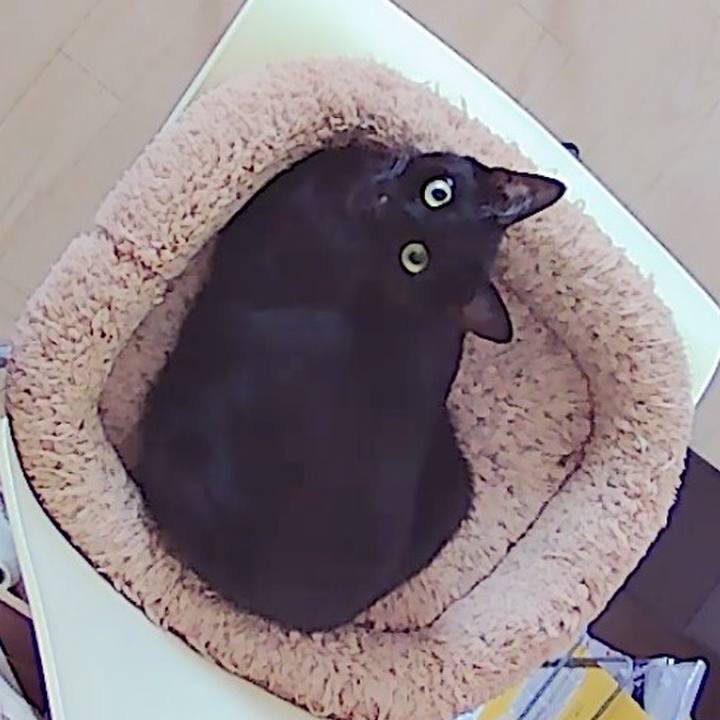 Aad66e3d fbf7 42a6 970e 8115c03a829b