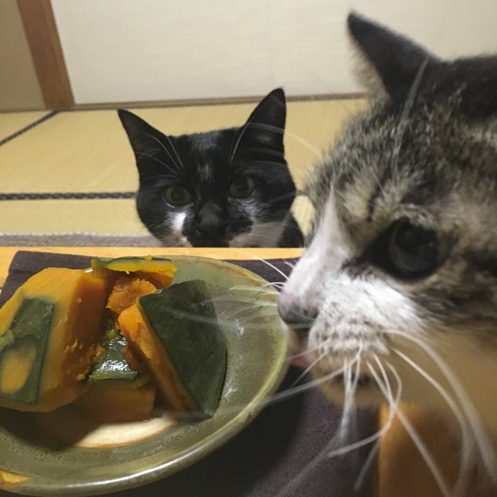 Aad73154 7f56 4cbf b243 2c9d493c80ed