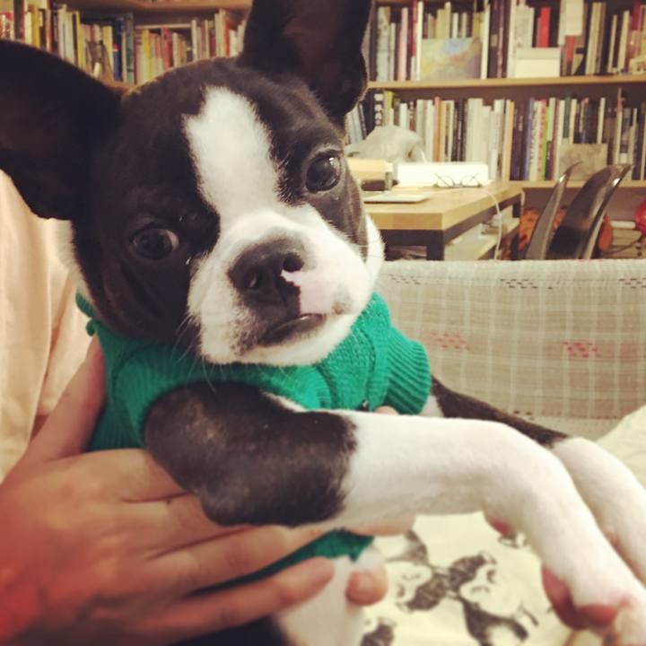 Aad74dd3 22f7 4920 8dea 1695d169d7f3