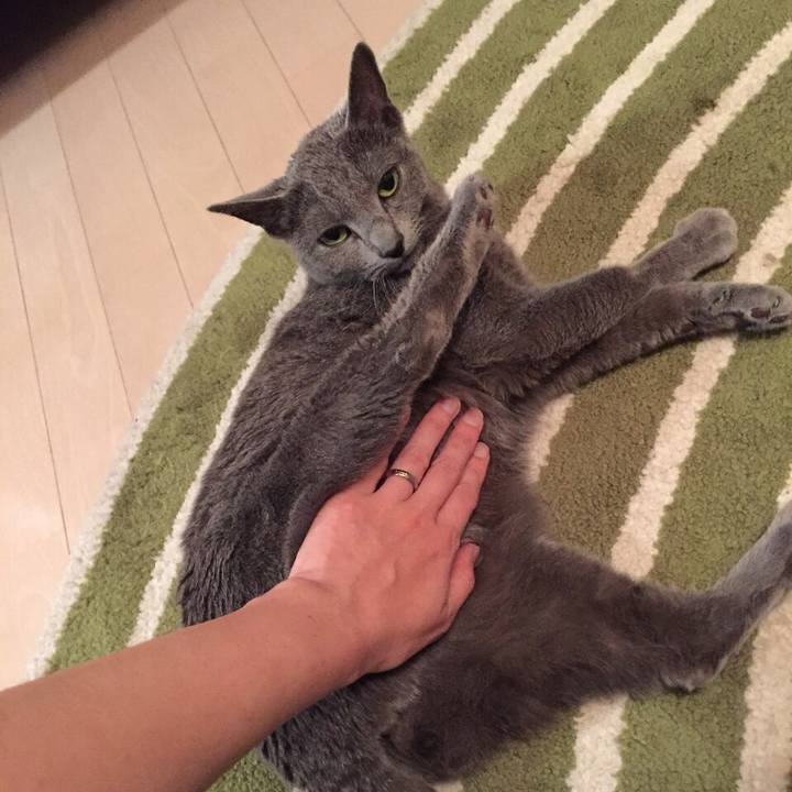 Aad752bf 7ae4 4ef5 8098 496519dba7d6