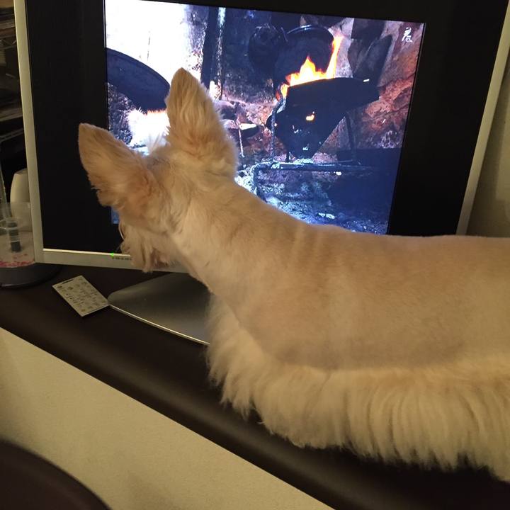 Aad88134 d909 45b9 898d 809146d98ea6