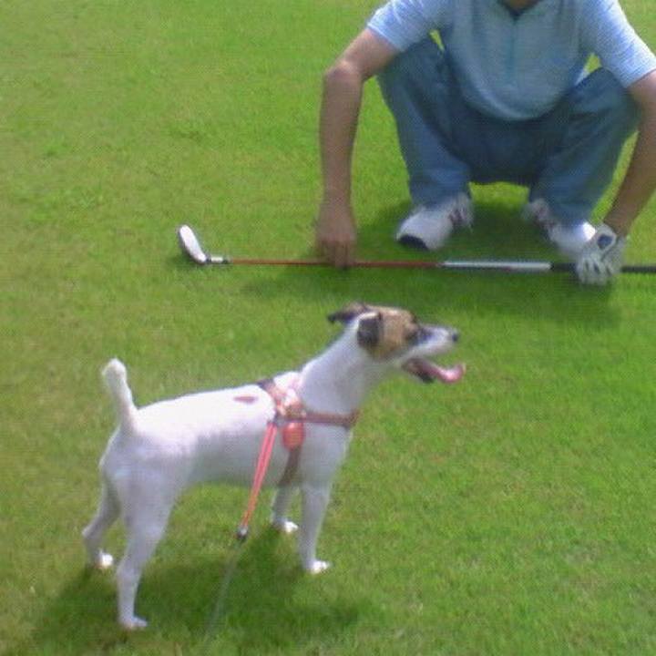 Aad8dba1 bf9e 4fe5 819a 150e6fa77129