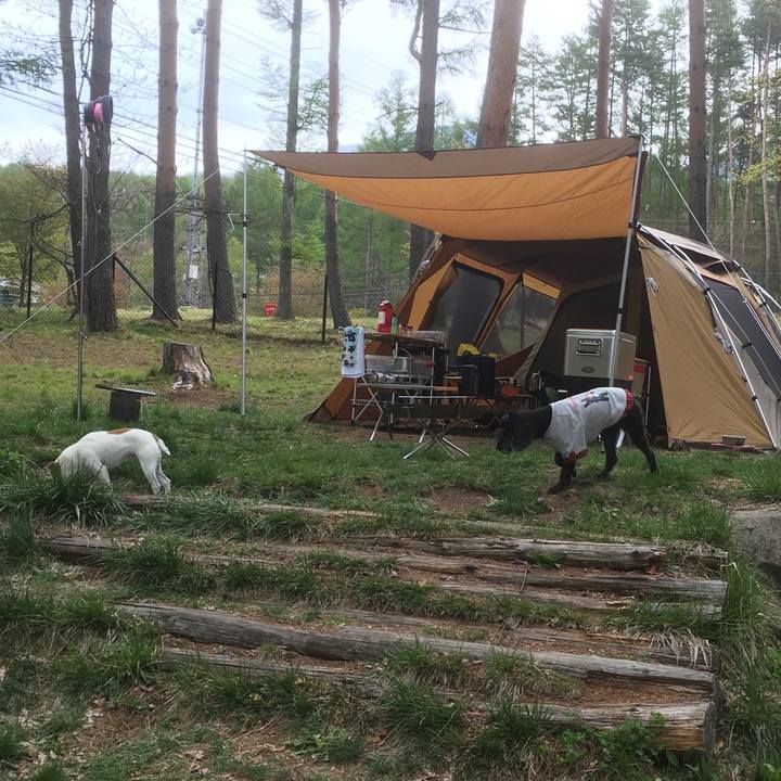 Aad971ab 38e3 44d4 96a3 c81e3e078786