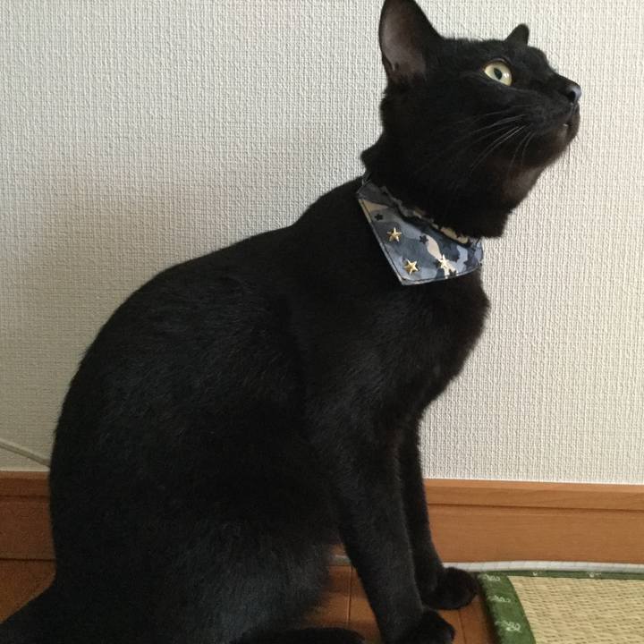 Aad97520 5772 41f3 ae29 2025bd47305c