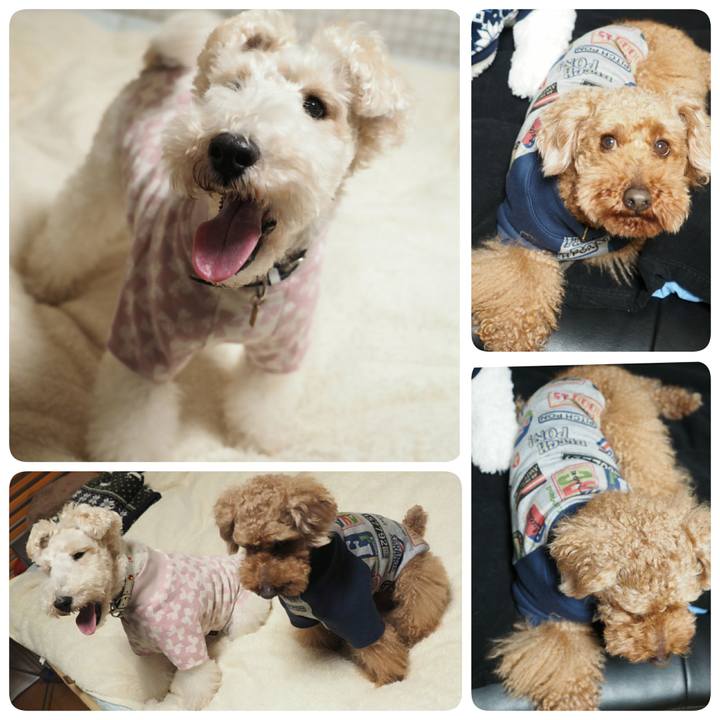 Aad9b383 3acf 487f b3bf 0aed5a30c23e