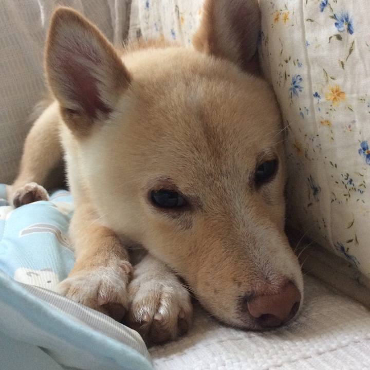 Aada23cb 79c2 4b79 98bf 2b258e1f7f12