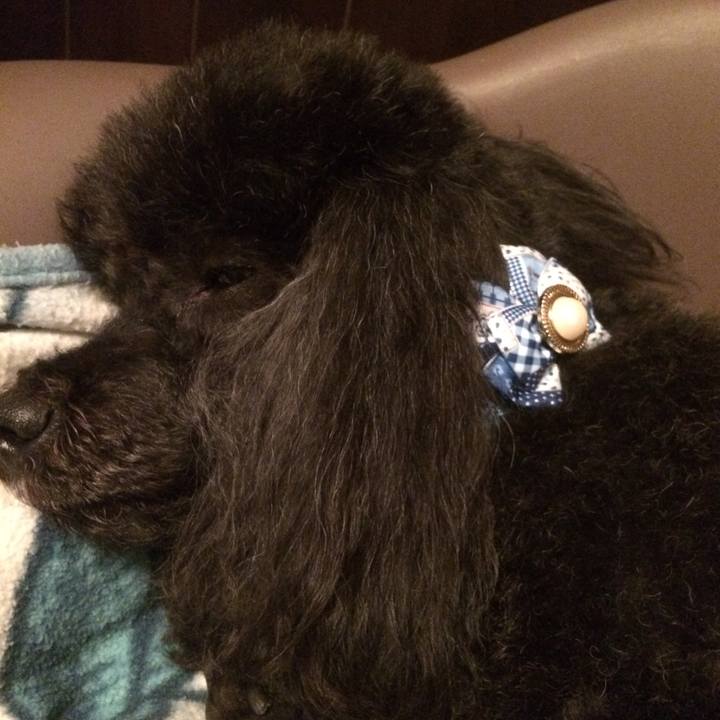 Aada5046 3677 4ad1 a723 add46bc38fdd