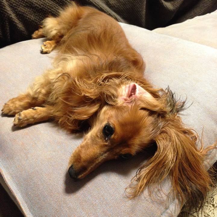 Aada9881 1936 4d04 a785 ad6a14367bdb