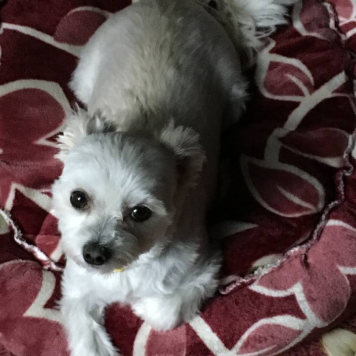 Aadb9340 1003 4cb7 9d97 98d6dc224bc1