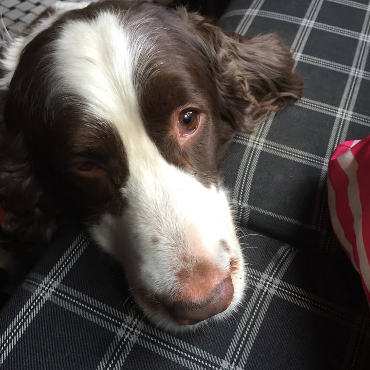 Aadc3456 d7ca 4dcb b52f a2e4f6d378e5