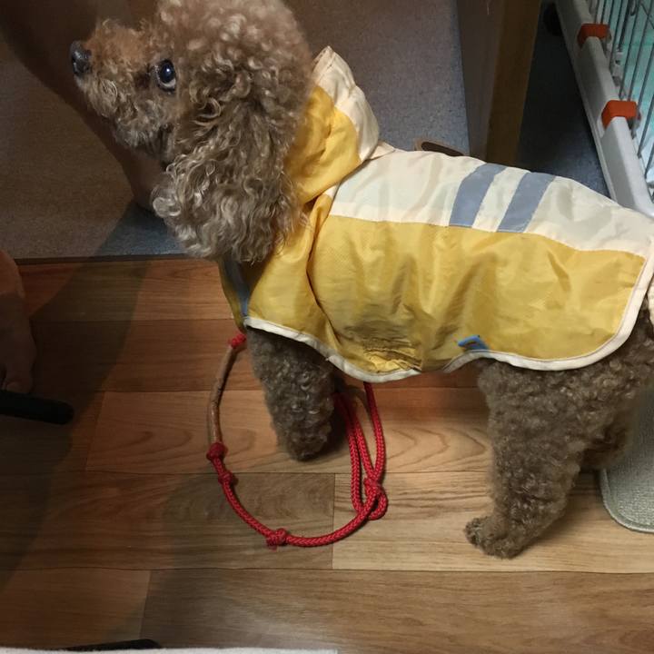 Aadc4f05 04c1 46c5 9c74 ba1f0b694d6a