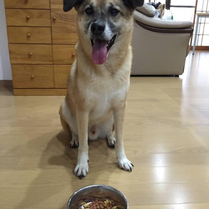 Aadd6814 4e84 45d4 8663 79e55c5aac22