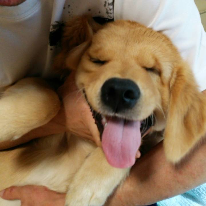 Aadd80e2 b4df 4c7a a841 0b6f0a4b296f