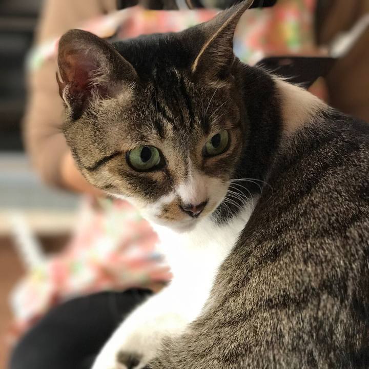 Aade010b 2bb6 4cb0 b9e8 5c2f51226b36