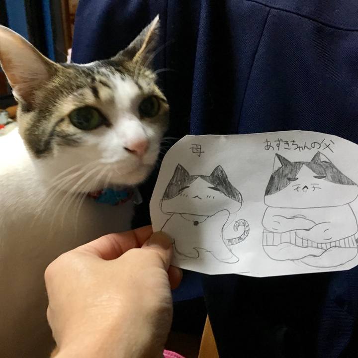 Aade7155 60bc 444f a4da 8068cb4ab538