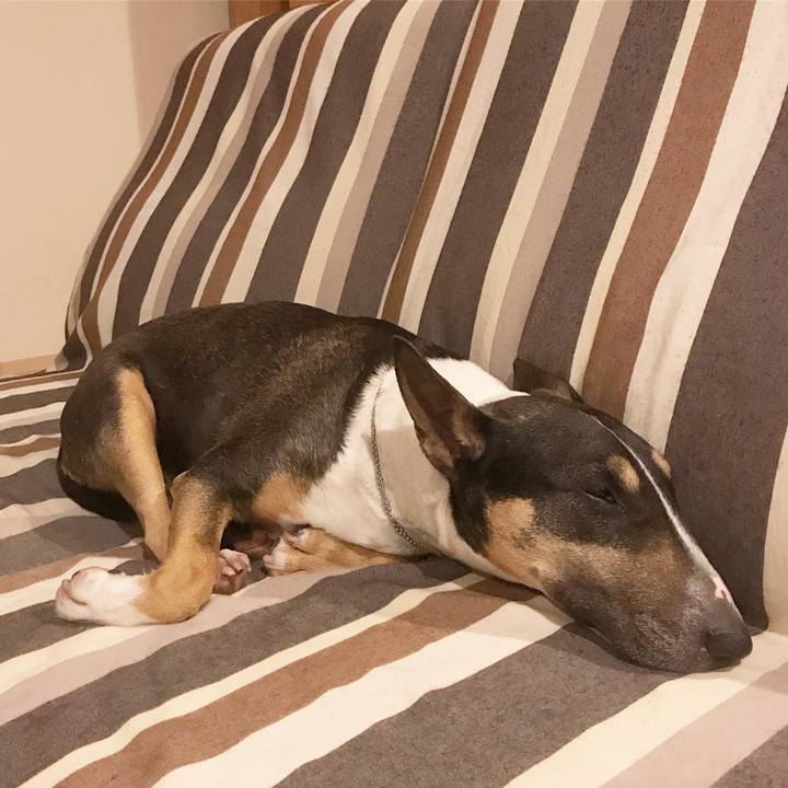 Aadea568 e001 4fb6 a16e da622fd0fdb7