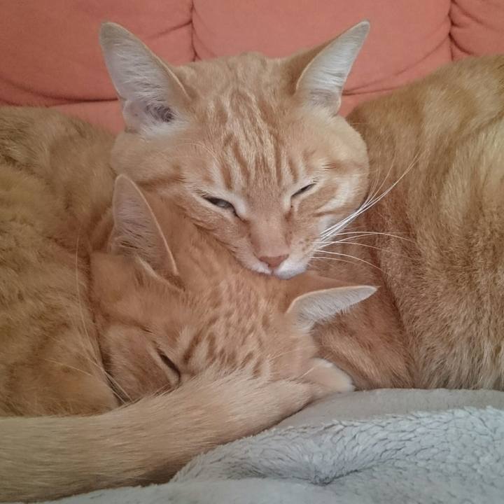 Aadeb7bc 3f9e 477c b623 71199b3f12da