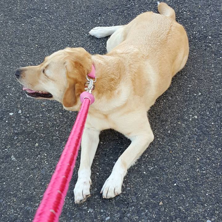 Aadf2de8 2979 4d5a 8b2f a727e4641cd3