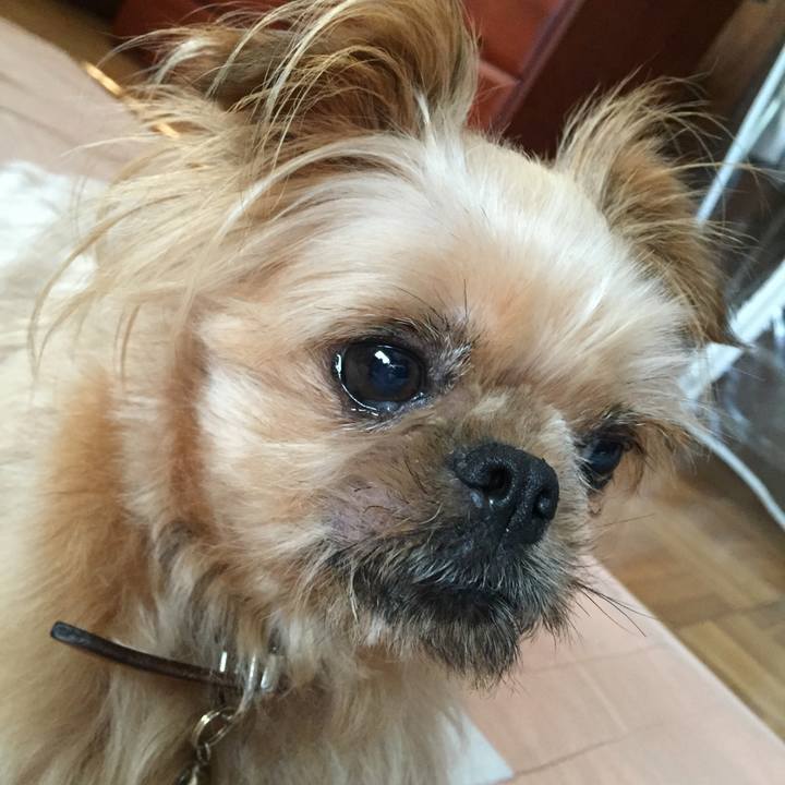 Aadf46c2 59aa 4bf6 878c 6aadadd40706