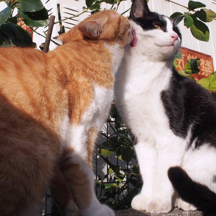 Aadfbb71 4f60 468d a8b4 684c159d2cab