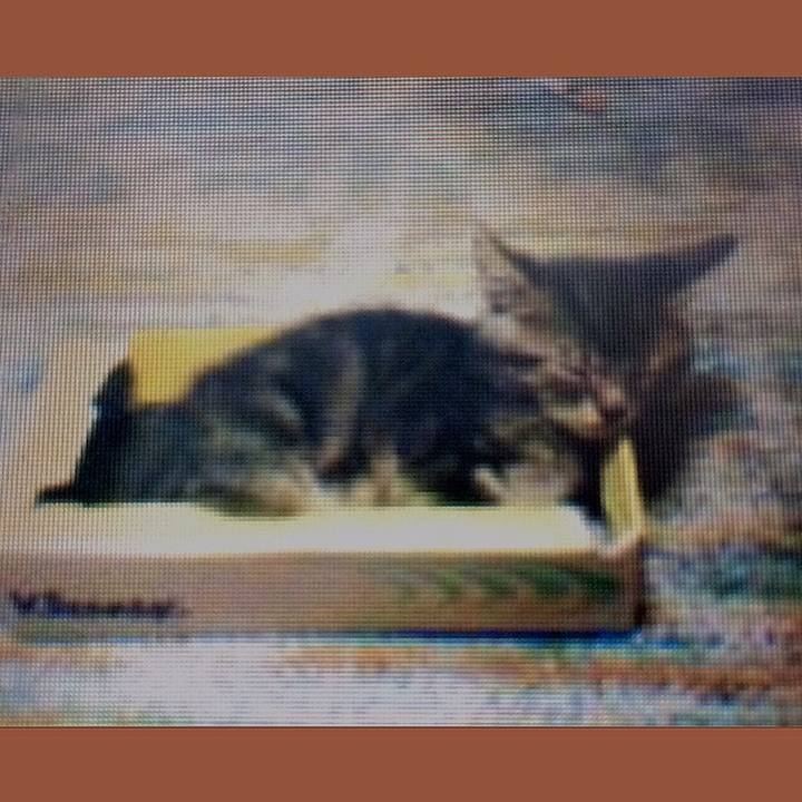 Aae107f5 30c2 4c0f aada b535a3ed465e