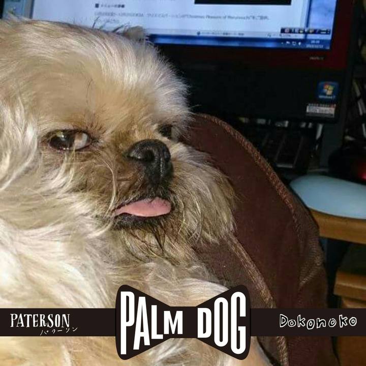 Aae1c56e 5d6d 41f3 b9fd 5098e50b31a0