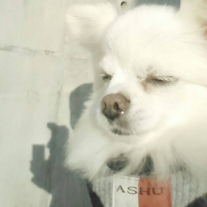 Aae1d8df 9985 4b2a bc92 7f40cf285f0c