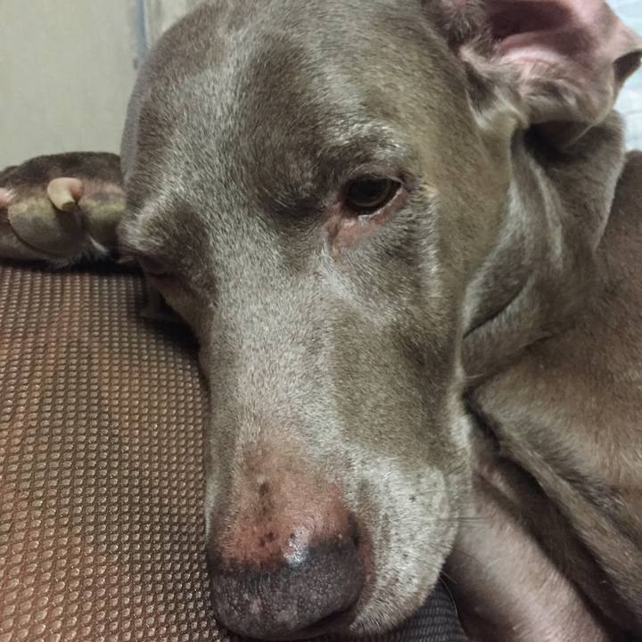 Aae1f6f1 5b64 4295 aab5 fc13290b2af2