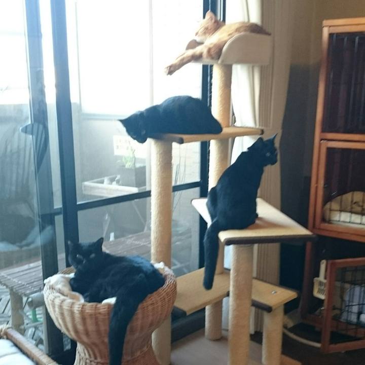 Aae219ec 9d25 4c06 b372 c90da89ea8b9