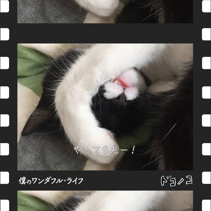 Aae22dd6 6dd3 4ac3 9aec f881cabcc3ab