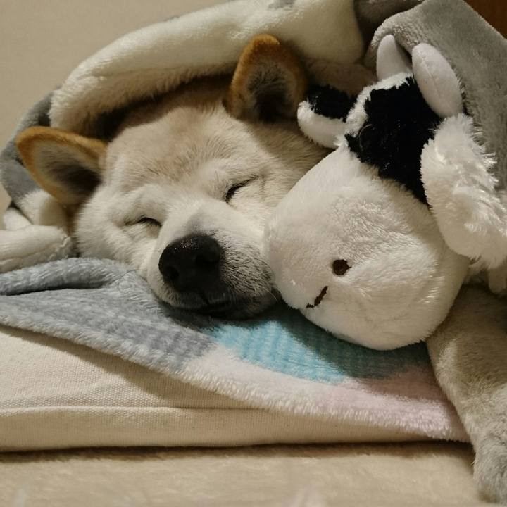 Aae2c48f 9352 444a ad52 002311c7cb31