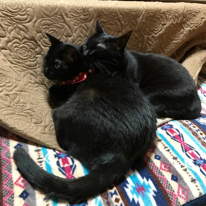 Aae30803 4267 493c 8120 dbc323d708a5