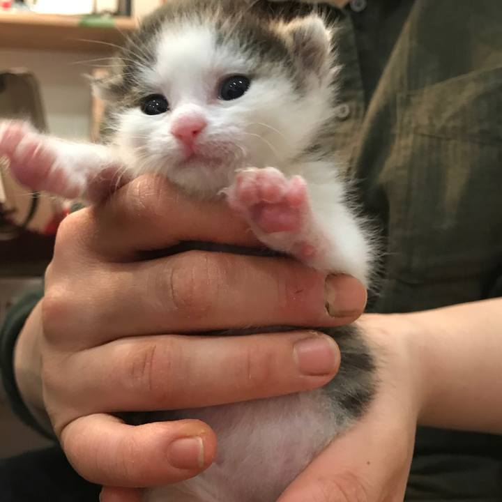 Aae30e37 d74c 48e1 87d5 534a7fadfdde