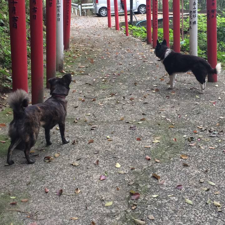 Aae36f08 60b7 40bd 9e3f cd7670257d2d