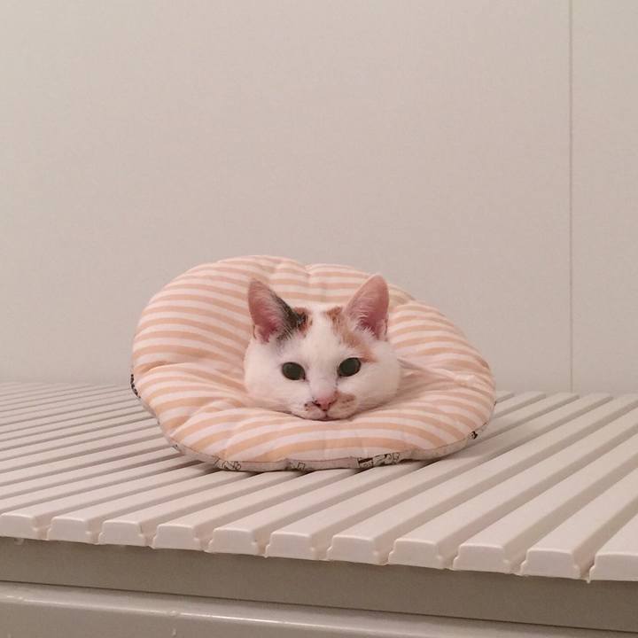 Aae3859d 2ea8 42ac a72d 2a43bec06379