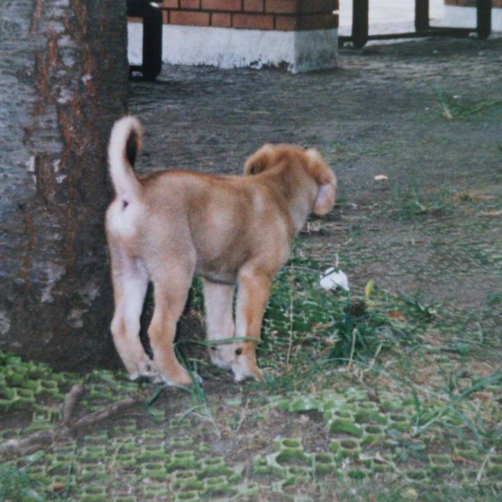 Aae41b4a c66c 4ab8 a170 9a6233ed7aae