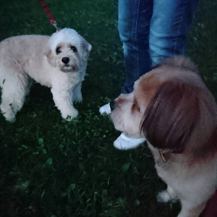 Aae551ee a721 4caf bb83 4a449dbfcd1c