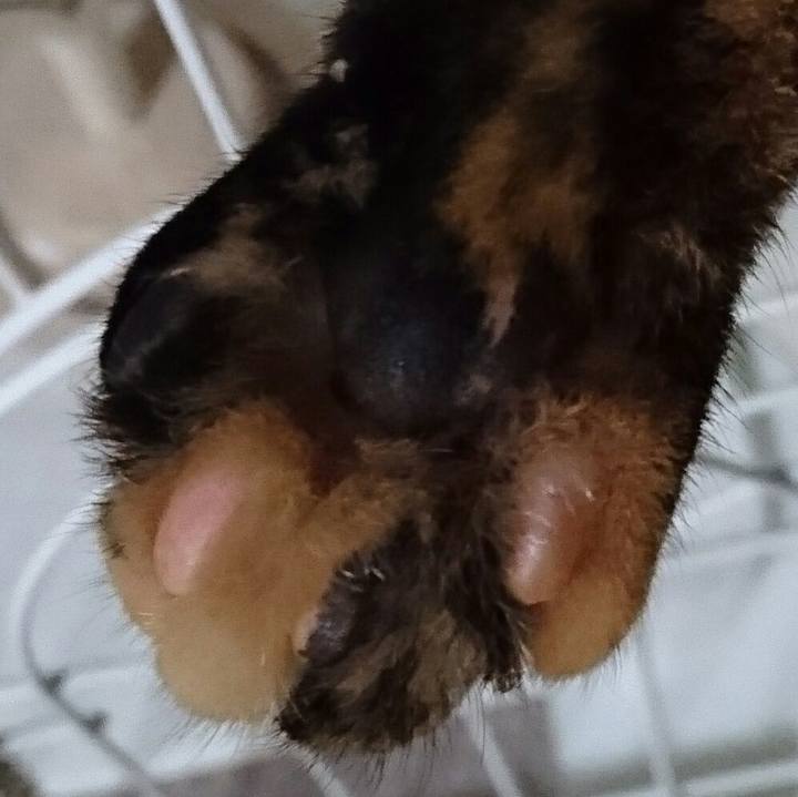 Aae5d565 9b12 436d 995a 84fa5e7070a0