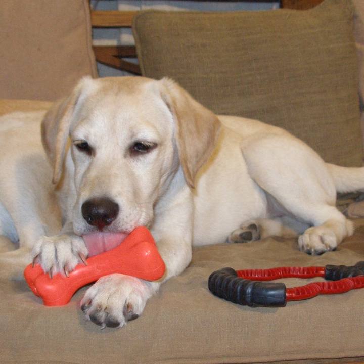 Aae62875 c67b 4fcc aced cc16220f8aab