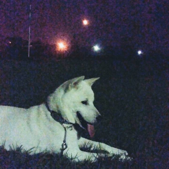 Aae629b9 4788 41c6 b789 bb64b627631b