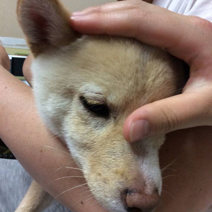 Aae66713 c131 4b4e 94f9 bb7ce53298dc