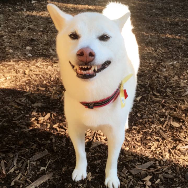 Aae6b7df 470f 46b3 9b9a ea738309b404