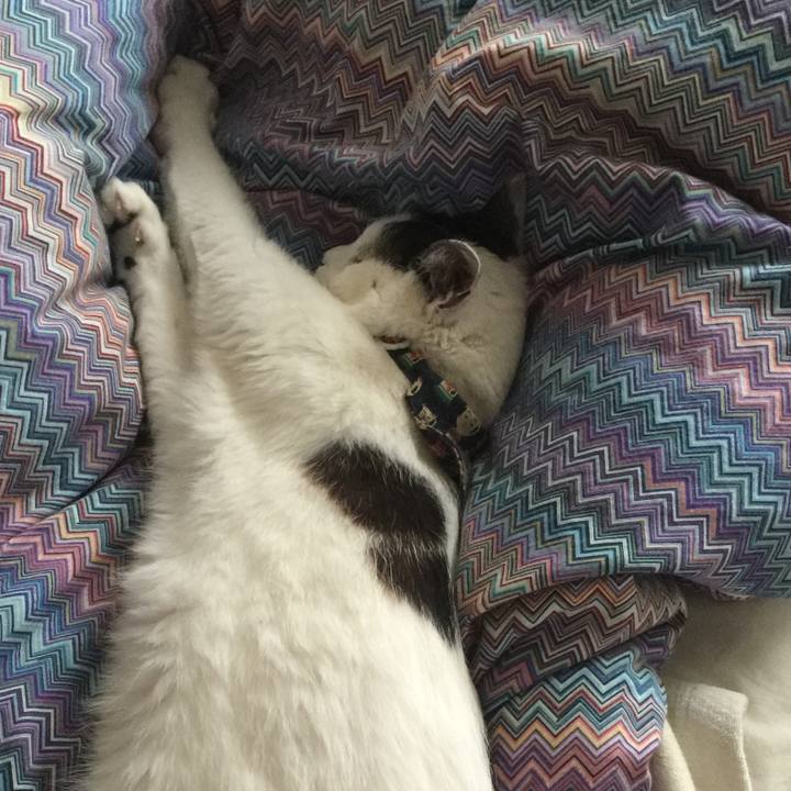 Aae6ce01 2dda 4362 ab5e 4610b6f6f7b7