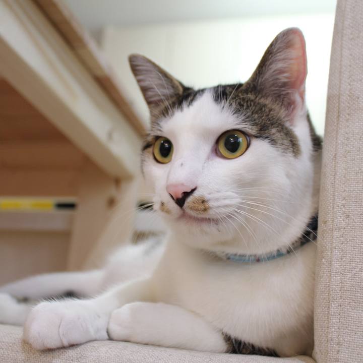 Aae6e3c9 5340 4d78 bcc2 de0705d73ee1